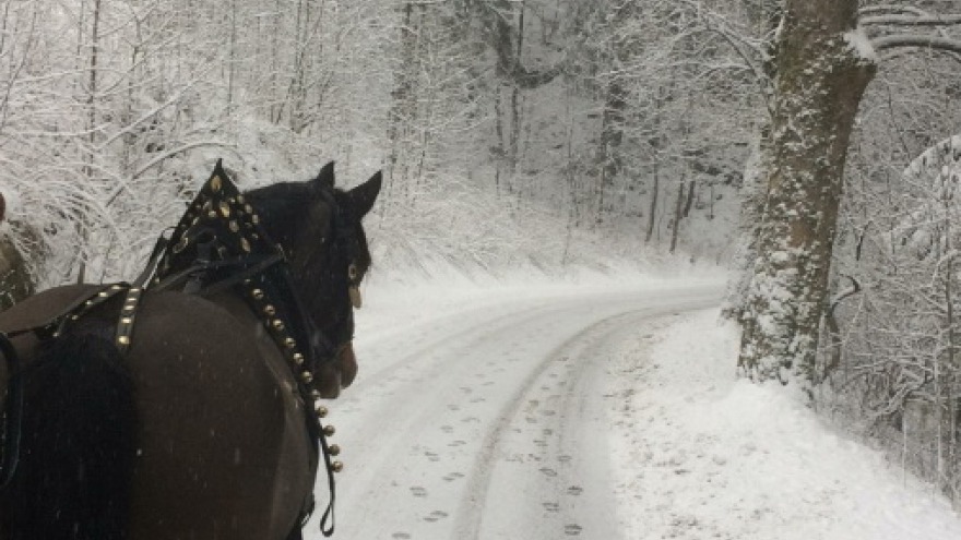 Romantische Kutschfahrt durch den Winterwald in Braunlage. Kutschfahrt-Wald-Winter-Braunlage